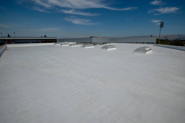 Best Cold Roofs  in Madison Heights, VA