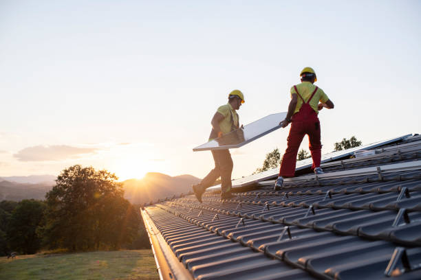 Best Skylight Installation and Repair  in Madison Heights, VA