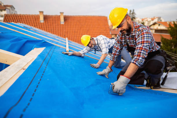 Best Roof Leak Repair  in Madison Heights, VA