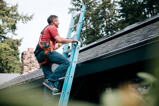 Best Roof Ventilation Installation  in Madison Heights, VA
