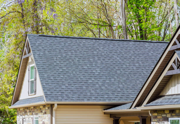 Best Gutter Installation and Repair  in Madison Heights, VA