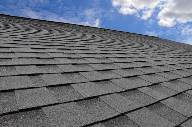 Best Gutter Installation and Repair  in Madison Heights, VA