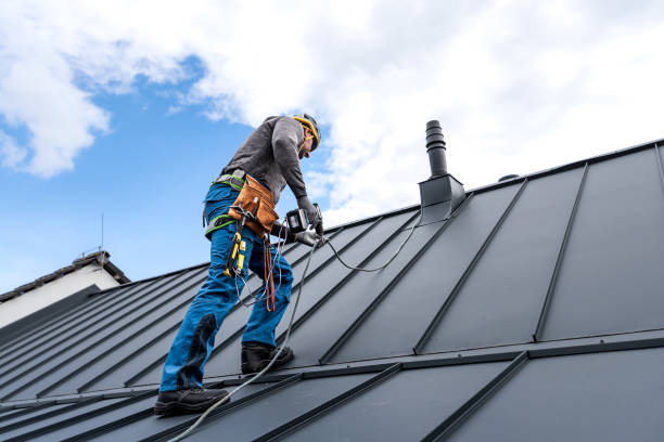 Best Roof Moss and Algae Removal  in Madison Heights, VA