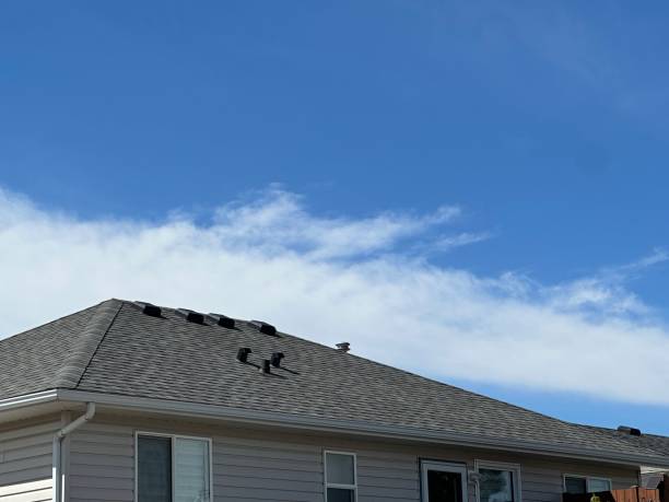 Best Solar Panel Roofing Installation  in Madison Heights, VA