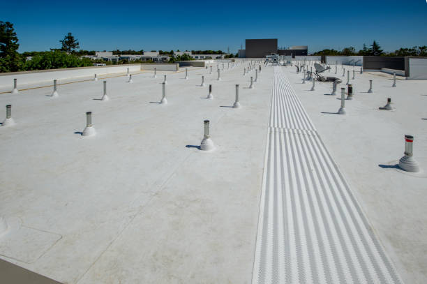 Best Rubber Roofing (EPDM, TPO)  in Madison Heights, VA